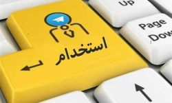 قوه قضاییه آزمون استخدامی برگزار می‌کند/ جذب ۶ هزار نیرو برای کار در محاکم صلح