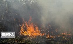 تالاب‌ها را با حواس پرتی به آتش نکشیم