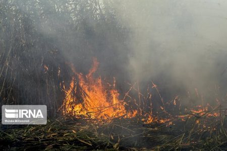 تالاب‌ها را با حواس پرتی به آتش نکشیم