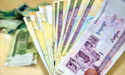 مشکلات کشور عمدتا نمودی اقتصادی و ریشه غیر اقتصادی دارند / کاهش بهره وری و افزایش هزینه های تولید نتیجه اجرای قانون افزایش حداقل دستمزد