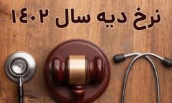 نرخ دیه سال ۱۴۰۲ اعلام شد