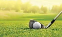 دبیر فدراسیون گلف: به دنبال همگانی کردن گلف هستیم/ حذف تابوی لاکچری به‌زودی