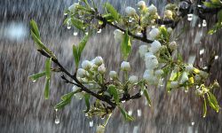 هوای خوزستان امشب بارانی می شود