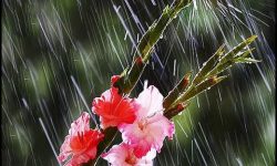 ورود سامانه بارشی جدید به کشور از فردا