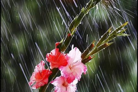 ورود سامانه بارشی جدید به کشور از فردا