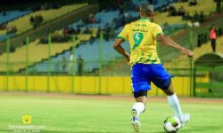 رونمایی از بازیکنان جدید نفت‌مسجدسلیمان/ باقری‌نیا در کادرفنی اشکش