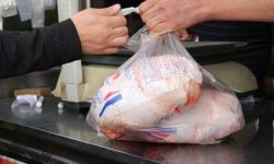 فروش مرغ بالاتر از ۶۳ هزار تومان تخلف است/ با خاطیان برخورد می‌شود