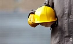 بررسی ۲ پیشنهاد برای ساماندهی نیروهای شرکتی در دولت