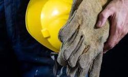 سامانه جست‌وجوی شغل با نسخه به‌روز آغاز به کار کرد