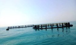 پرورش ماهی در قفس در سد مارون اجرایی می‌شود