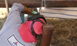 تعویض و احداث خطوط لوله انتقال نفت