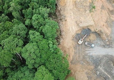 بحرانی شدن ۱۴ میلیون هکتار از اراضی کشور/وضعیت جنگل ها خوب نیست