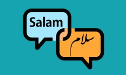 مخاطب فینگلیش چه کسانی هستند؟