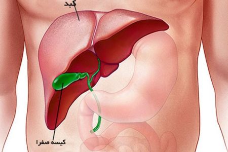تراشه‌ای که امیدبخش درمان بیماری کشنده کبد چرب می‌شود