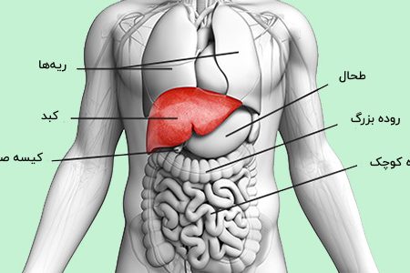 تشخیص زودهنگام بیماری‌های کبد را جدی بگیرید