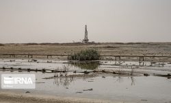 حال و روز تالاب‌های استان خوزستان با شروع گرما