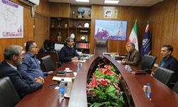 بررسی مشکلات و چالش های حوزه H.S.E شرکت نفت و گاز مسجدسلیمان