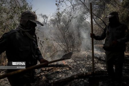 آتش سوزی مزارع در خوزستان علاوه بر ایجاد آلودگی، تنوع زیستی را نیز نابود می‌کند