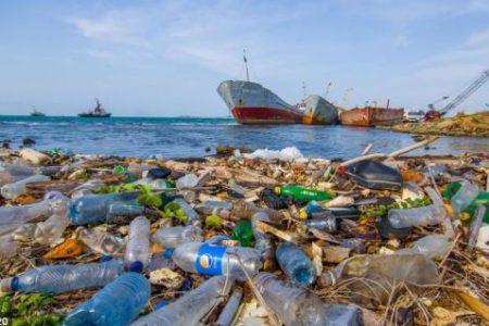 پلاستیک تجزیه‌پذیر ساخته شده از نیشکر نیز محیط زیست را تهدید می‌کند