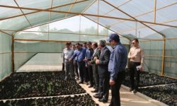 اقدامات شایسته شرکت نفت و گاز مسجدسلیمان در تولید نهال وتوسعه فضای سبز الگوی شایسته ای برای سایر شرکت ها و سازمان های دولتی خوزستان است / تولید سالانه ۲۰۰ هزار اصله نهال در شرکت نفت و گاز مسجدسلیمان برای تحقق پویش یک میلیارد نهال در ایران