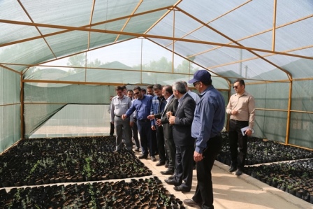 اقدامات شایسته شرکت نفت و گاز مسجدسلیمان در تولید نهال وتوسعه فضای سبز الگوی شایسته ای برای سایر شرکت ها و سازمان های دولتی خوزستان است / تولید سالانه ۲۰۰ هزار اصله نهال در شرکت نفت و گاز مسجدسلیمان برای تحقق پویش یک میلیارد نهال در ایران