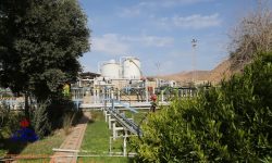 سرانه فضای سبز در شرکت نفت و گاز مسجدسلیمان بالاتر از تکلیف قانونی است