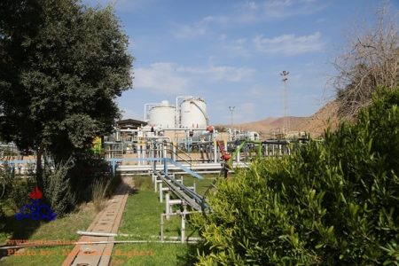 سرانه فضای سبز در شرکت نفت و گاز مسجدسلیمان بالاتر از تکلیف قانونی است