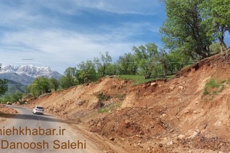 الگوی اروپایی برای‌ نجات زاگرس ؛ جنگل‌های زاگرس شباهت زیادی با این سه کشور اروپایی دارند /چرا درختان زاگرس توان زادآوری ندارند؟ + اینفوگرافیک