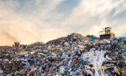 موفقیت کره‌جنوبی در کاهش پسماند غذایی؛ چگونه کمتر زباله تولید کنیم؟