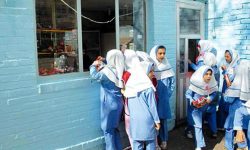 دانش آموزان در مدرسه چی بخورند/ از مغزیجات تا انواع میوه‌ها