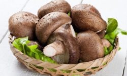 فیبر رژیمی موجود در قارچ به هضم غذا و کاهش وزن کمک می کند