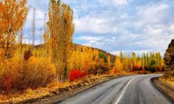 بهترین کشورهای جهان برای گردشگری غذا