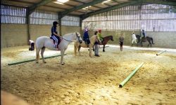 ساخت بزرگترین مجتمع سوارکاری خوزستان در شوشتر آغاز شد