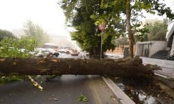 مرگ دردناک ۲ دانش آموز بخاطر وزش تند باد / اعلام جرم برای مدیران آموزش و پرورش