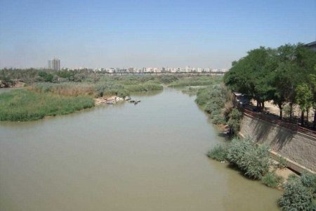 درختان ساحل کارون برای ایجاد “منظر رودخانه” جابه‌جا می‌شوند