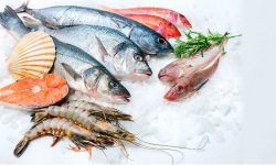 هشدار دامپزشکی خوزستان درباره عرضه ماهیان حرام گوشت