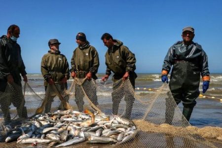 صدور کارت ضابط قضایی برای نیروهای یگان حفاظت شیلات خوزستان