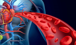 «کلسترول» و «تری گلیسیرید» چه تفاوت‌هایی دارند؟