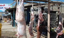 قصابان دوره‌گرد خوزستان جمع‌آوری می‌شوند