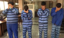 دستگیری ۵۵ نفر محکوم متواری در خرمشهر