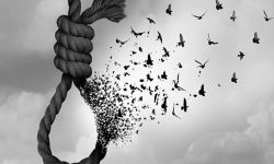 خرید آمبولانس توسط قاتل شرط نجات از طناب دار