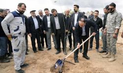 مهندس دانشی: تا ۱۴۰۴، هر شرکت بهره بردار ۱ میلیون نهال را تولید و کشت خواهد کرد