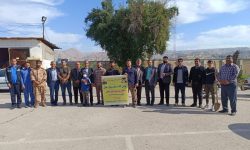 کاشت نهال به یاد شهدای گردان سلمان