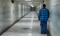 دزدی که مسلط به ۴ زبان دنیاست و در یک خانواده ثروتمند بزرگ شده ؛ انگیزه‌های عجیب دزدان شکم‌سیر / اعترافات عجیب سارق میلیاردر !