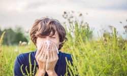 درمان آلرژی‌ با طب ایرانی؛ از حجامت تا یک دمنوش مفید