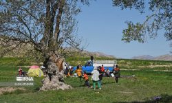 روز طبیعت است/هوای محیط‌زیست را داشته باشیم