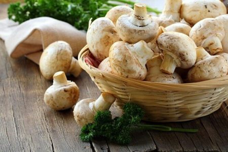 برای کاهش وزن قارچ بخورید