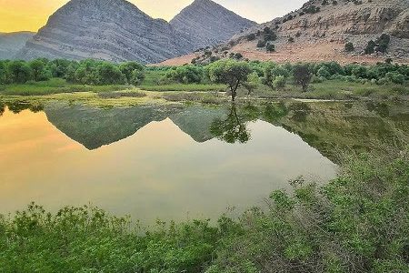 آتش‌سوزی در تالاب شیمبار اندیکا مهار شد