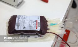 توسط محققان دانشگاه امیرکبیر؛ اسفنج بندآورنده خون با پر مرغ تولید شد