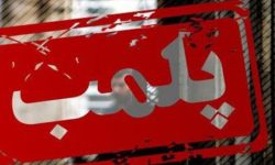 کافه سگ‌ها در تهران پملب شد